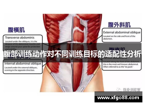 腹部训练动作对不同训练目标的适配性分析