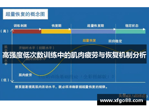 高强度低次数训练中的肌肉疲劳与恢复机制分析